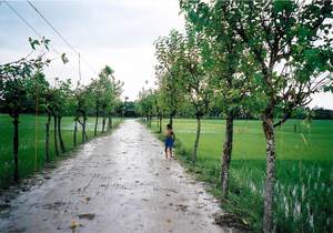 2011N0422153013b.jpg