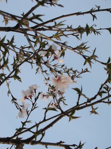 IMG_0002.JPG