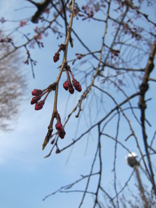 IMG_0004.JPG