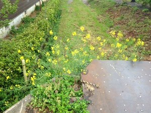 IMG_2193.JPG