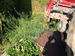 IMG_2210.JPG